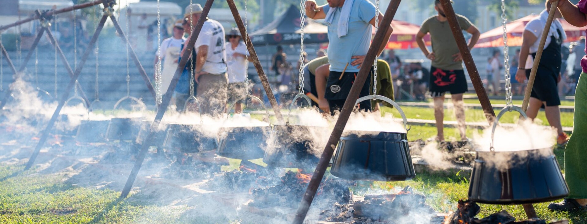 DunavFest u Vukovaru! 28. lipnja u 17.30 započinje kuhanje fiša ‘naveliko’, a potom i natjecanje